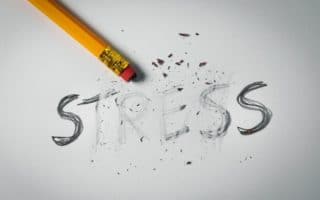 The Word Stress is erased