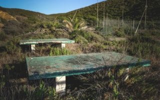 Table Tennis in the Wild