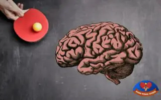 Ein Tischtennisschläger und ein Gehirn